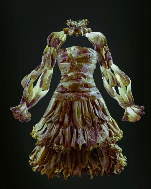 Lettuce dress on a black background. The dress has long sleeves and a tiered skirt, and it's made entirely of lettuce leaves.