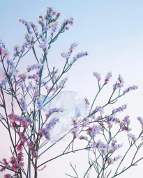 Delicate purple wildflowers with slender stems and a translucent plastic bottle nestled among the blossoms against a soft pastel sky gradient.
