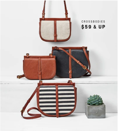 Three crossbody purses in varying styles, leather trim, and patterned canvas are displayed against a white backdrop with a succulent.