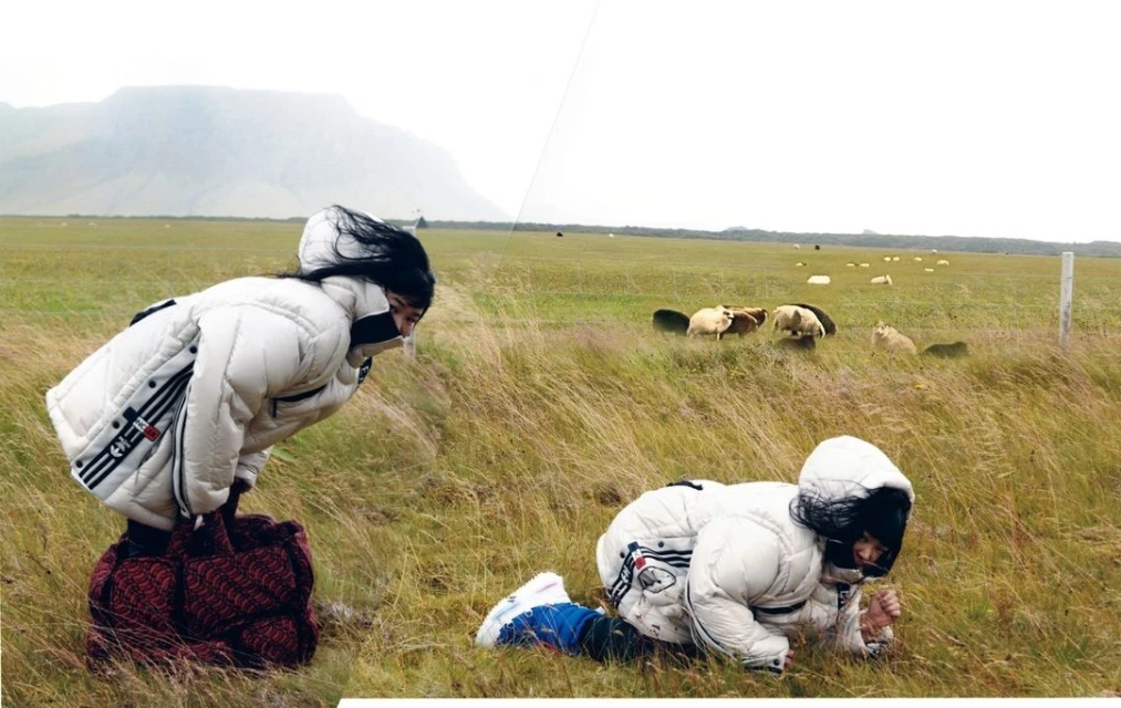 Two adult females in white puffy jackets interacting in a grassy field with sheep; mountains in the background, overcast sky, and tall grass.