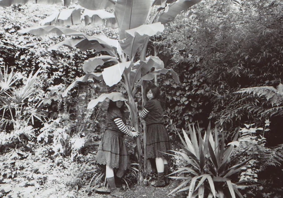 Two young women in matching outfits stand amidst lush greenery and a large banana plant in a monochrome garden scene. 