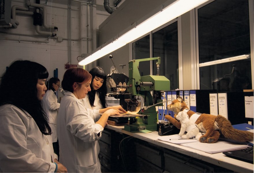 Adult women wearing lab coats work with machinery near a stuffed fox and lamb in an indoor lab setting with fluorescent lighting.