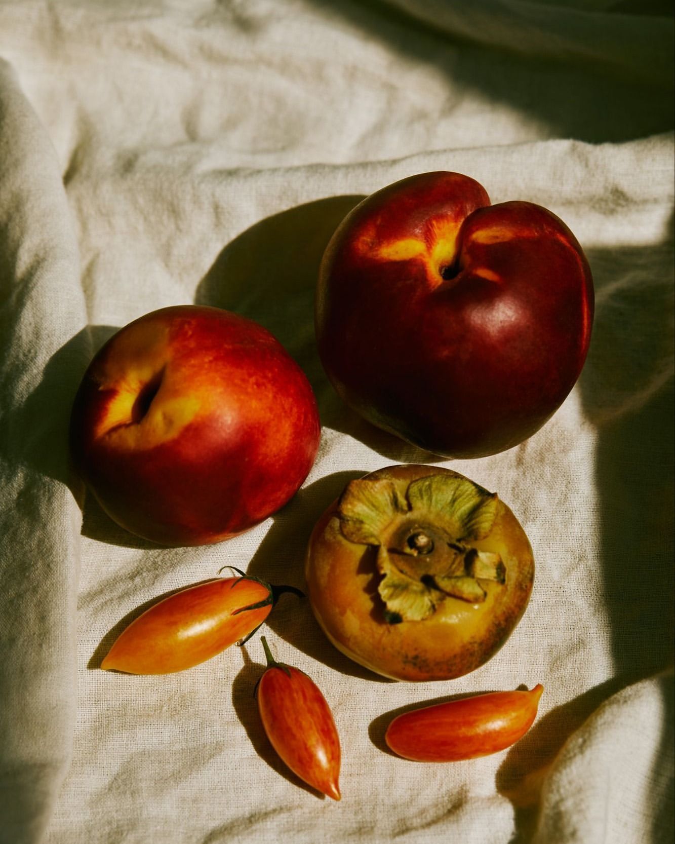 Still life of nectarines, persimmon, and tomato fruits arranged on a white linen tablecloth in soft, natural light with dark shadows.