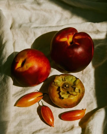 Still life of nectarines, persimmon, and tomato fruits arranged on a white linen tablecloth in soft, natural light with dark shadows.