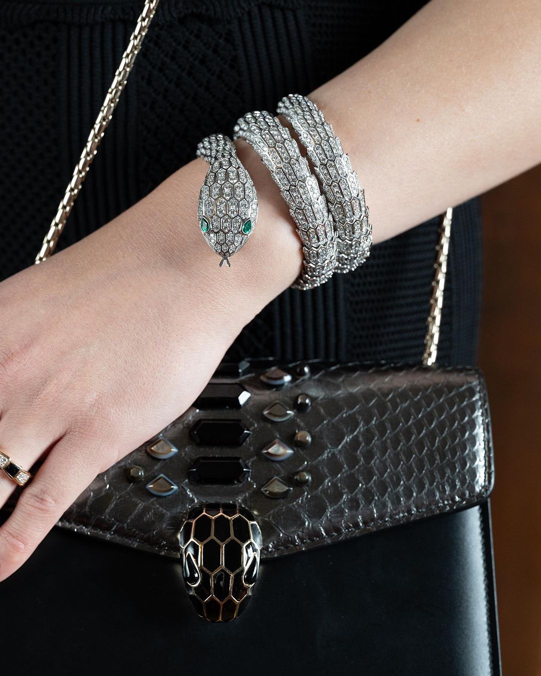 Close-up of a diamond snake bracelet on a wrist and a black snake-head handbag photographed by Gabriel De La Chapelle