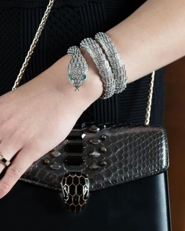 Close-up of a diamond snake bracelet on a wrist and a black snake-head handbag photographed by Gabriel De La Chapelle