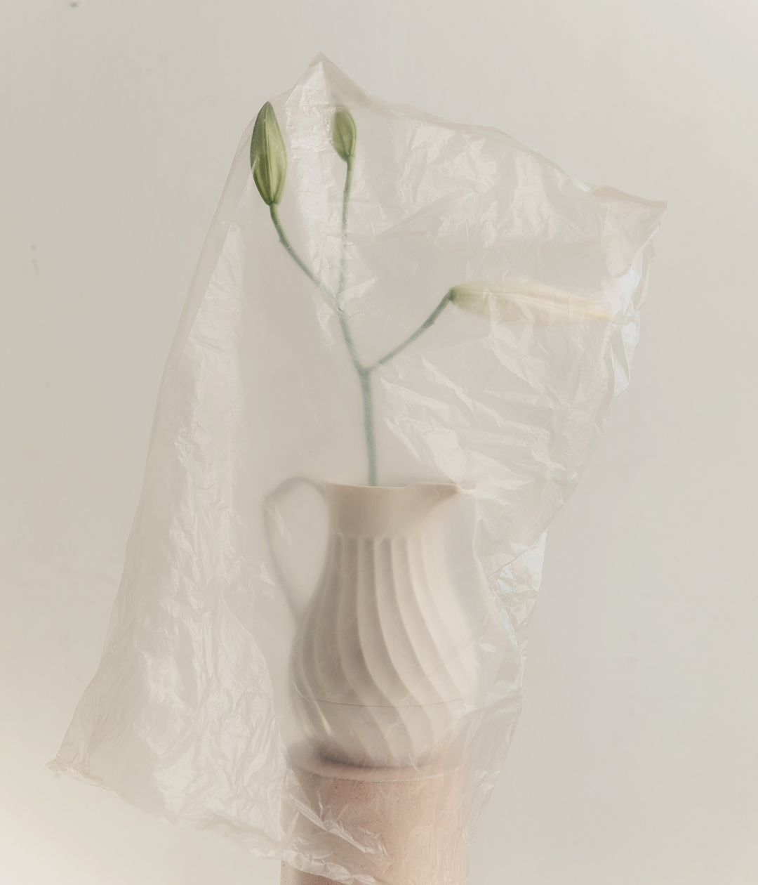 Still life of white lily buds in a white pitcher, wrapped in clear plastic, sitting on a wooden stand against a white backdrop.