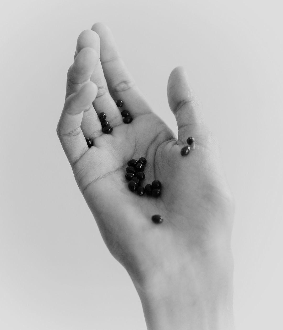 Monochrome photo of an adult hand holding a scattering of dark seeds against a soft, diffused grey background indoors.