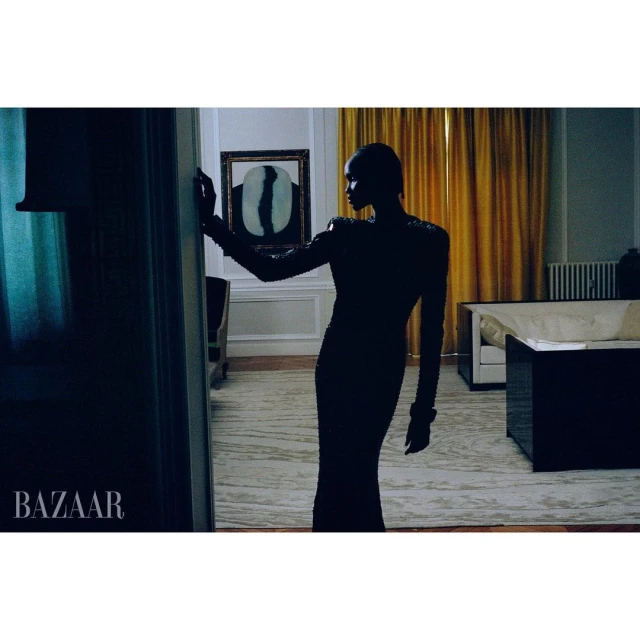 Fashion shot featuring a silhouetted woman in a long black dress standing in an opulent interior with gold curtains and artwork.