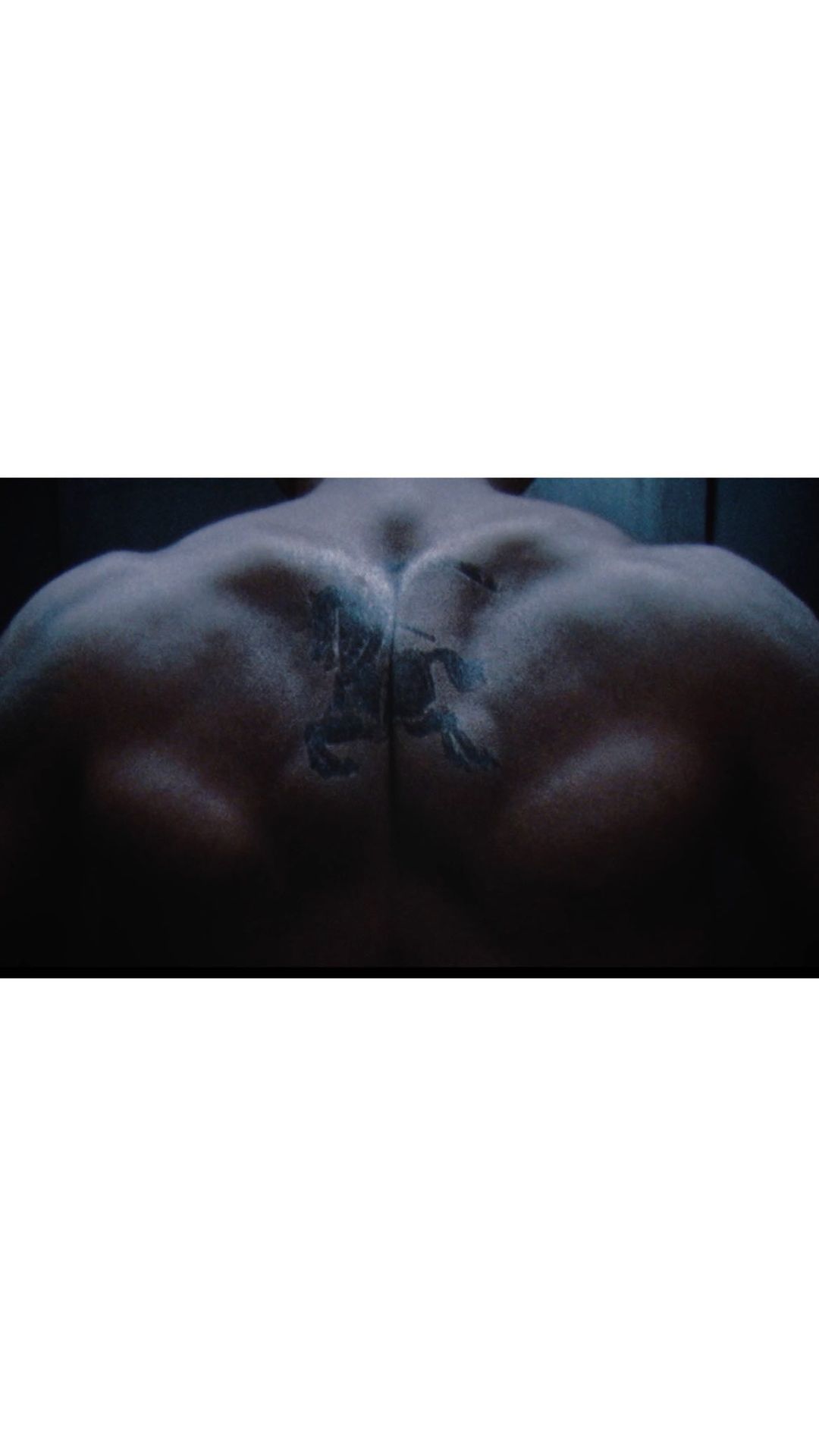 Close-up view of a muscular, tattooed human back showcasing developed muscles in a dark environment with subtle, diffused lighting.