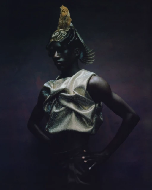 Person in a decorative golden headdress and draped metallic top poses against a dark purple backdrop in a high-fashion portrait.