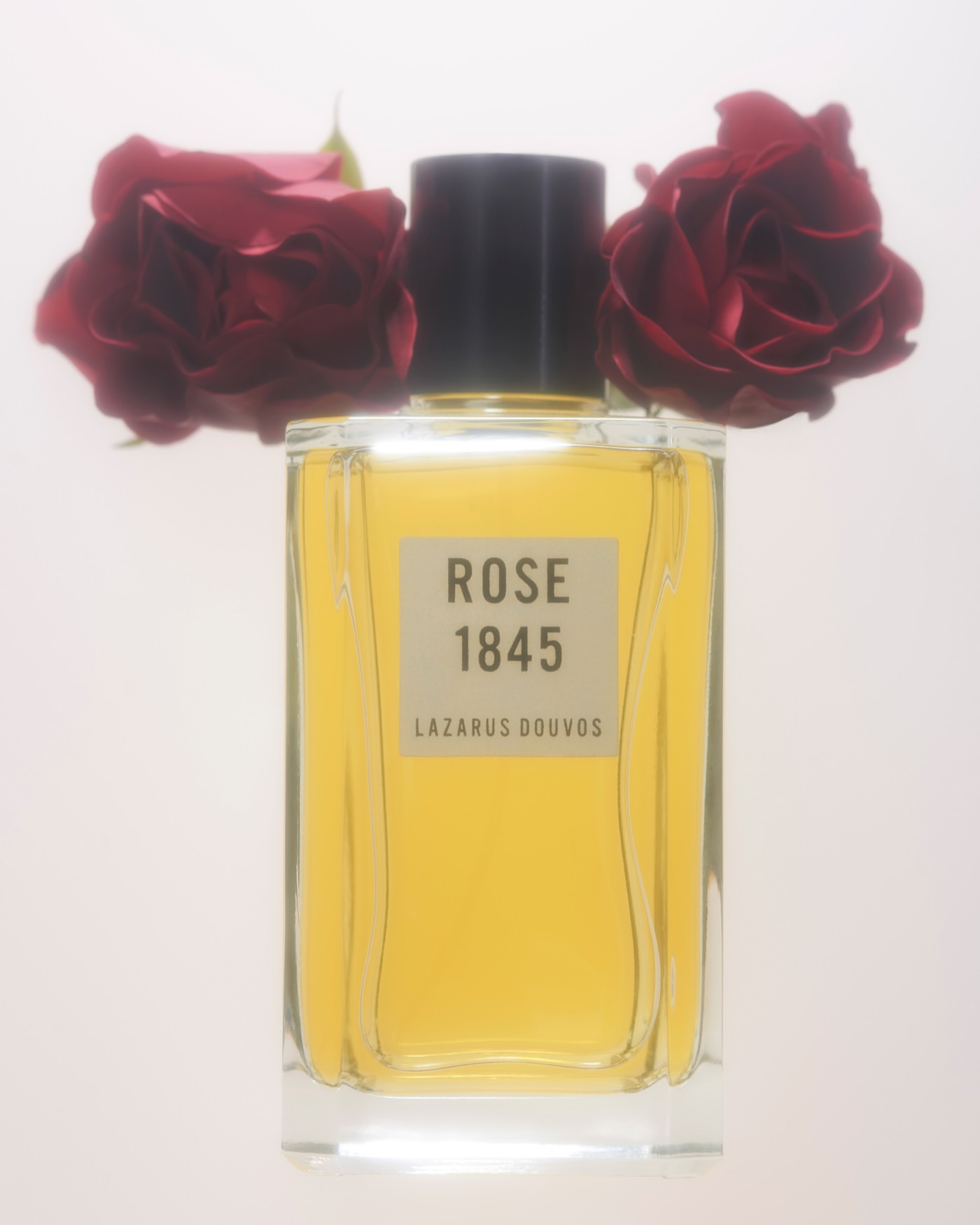 Glass bottle of Rose 1845 Lazarus Douvos perfume with dark-red rose blossoms in a soft white setting, creating an elegant presentation.