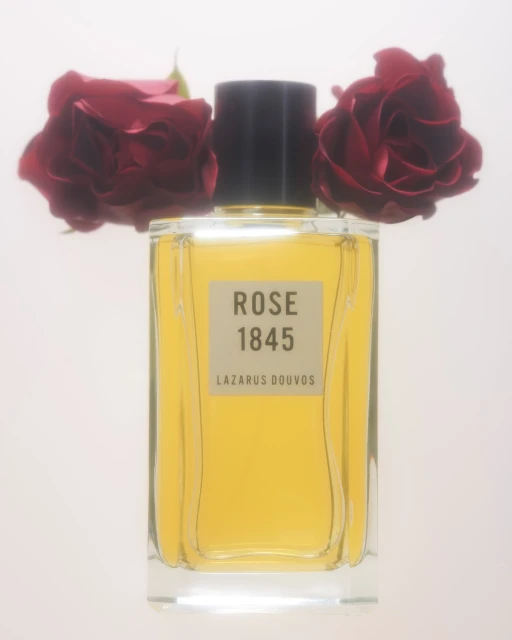 Glass bottle of Rose 1845 Lazarus Douvos perfume with dark-red rose blossoms in a soft white setting, creating an elegant presentation.