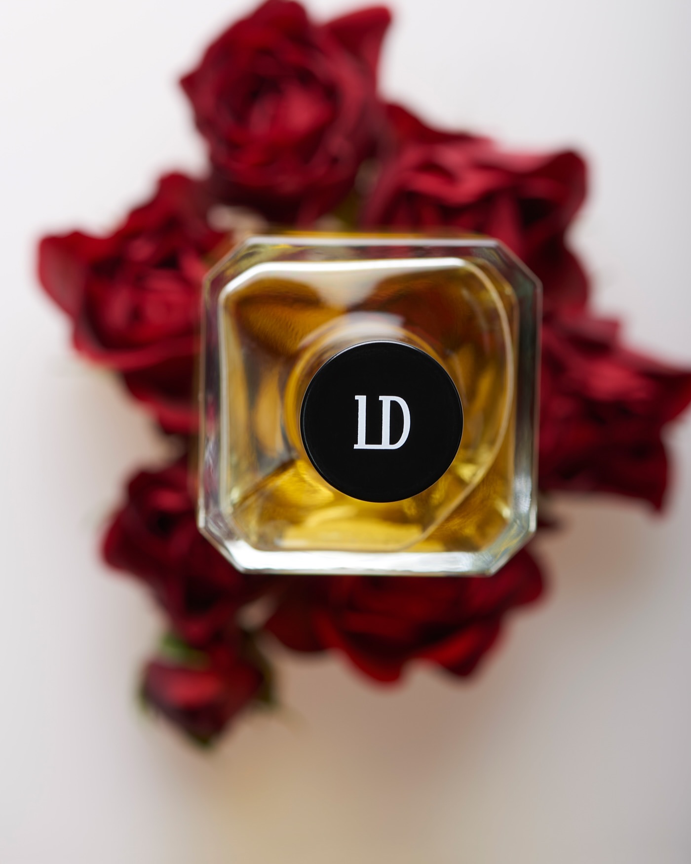 Overhead shot of a square-shaped glass perfume bottle with a black cap surrounded by dark red roses against a white background.