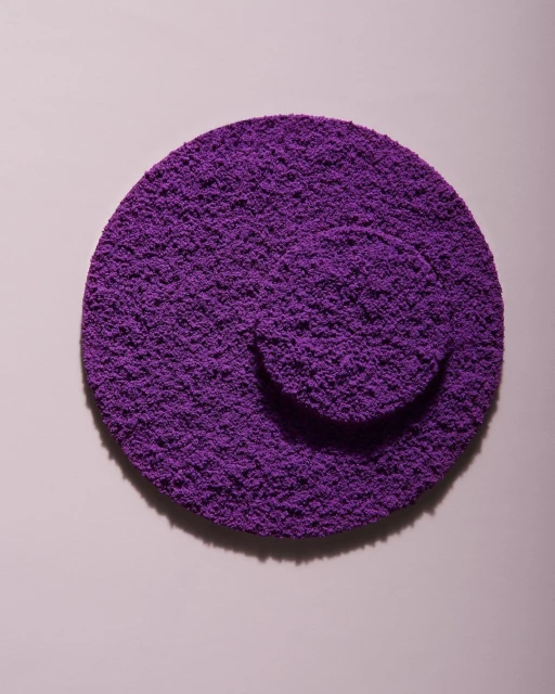 Overhead studio shot of two textured purple circular forms, one resting atop the other, creating an abstract, geometric composition.