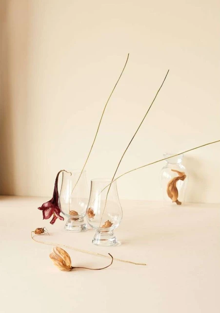 Botanical still life with dried flowers in clear glass vessels on a light beige background featuring tan, brown, and burgundy hues.