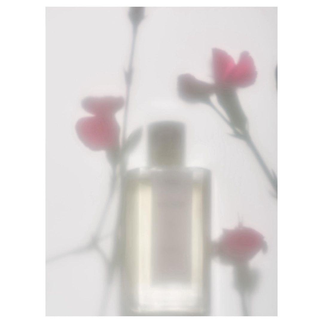 Soft focus photograph of a rectangular perfume bottle with pink carnation flowers behind a frosted surface