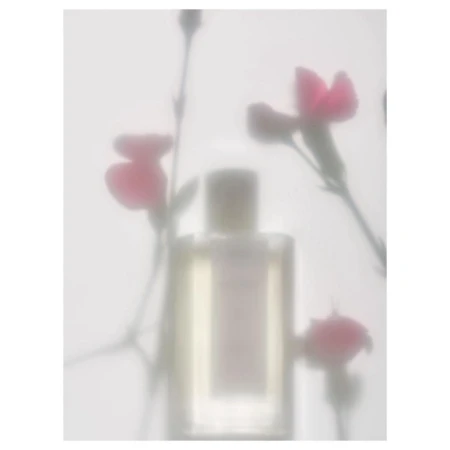 Soft focus photograph of a rectangular perfume bottle with pink carnation flowers behind a frosted surface