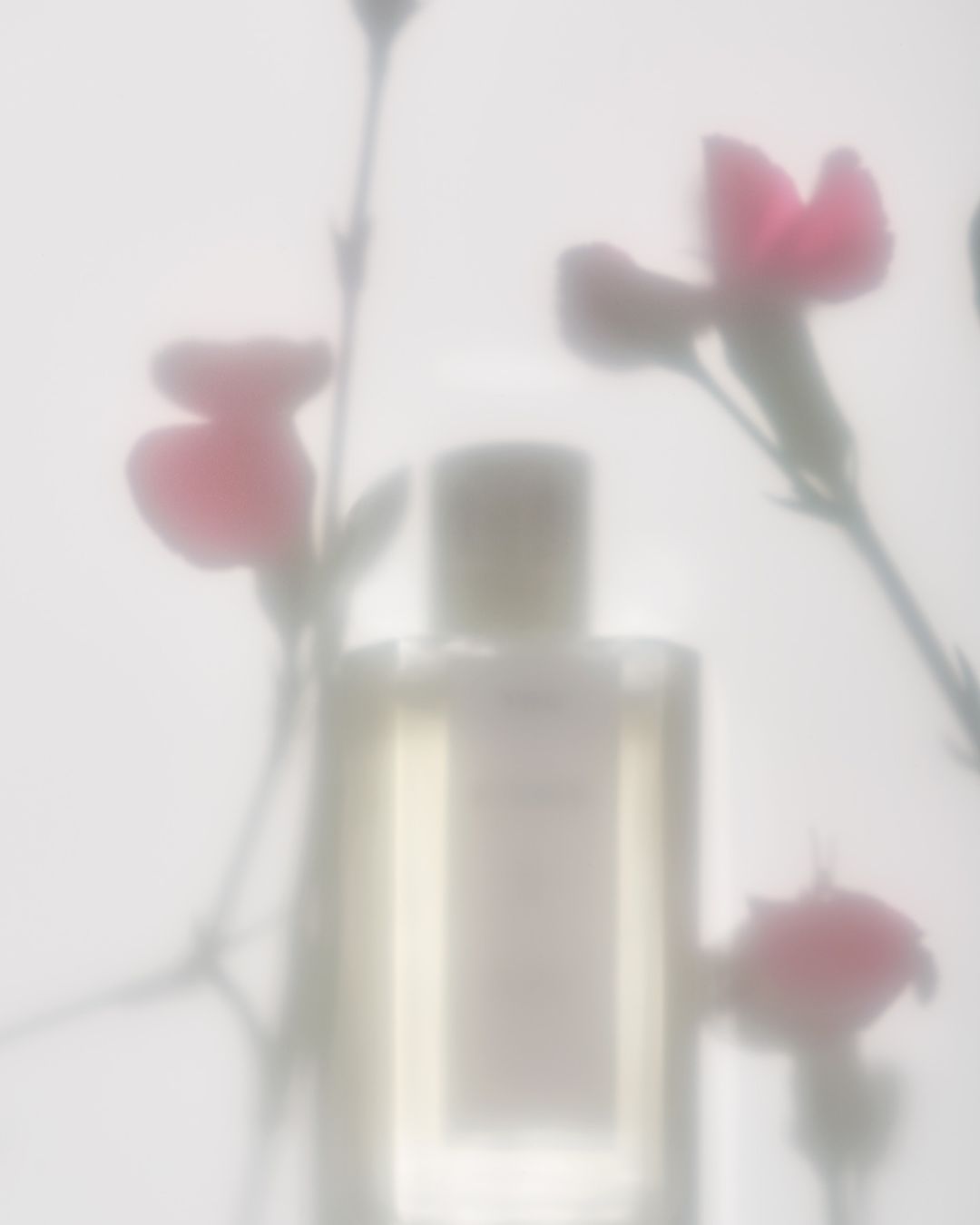 Soft focus studio shot of a perfume bottle with pink flowers in the background creates an elegant, minimalist beauty image.