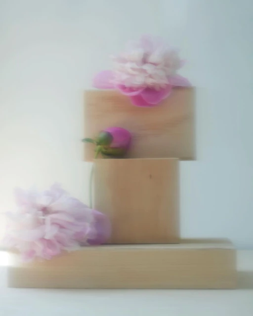 Still life of pink peony blooms on stacked wooden blocks against a soft white background, creating a peaceful, botanical composition.