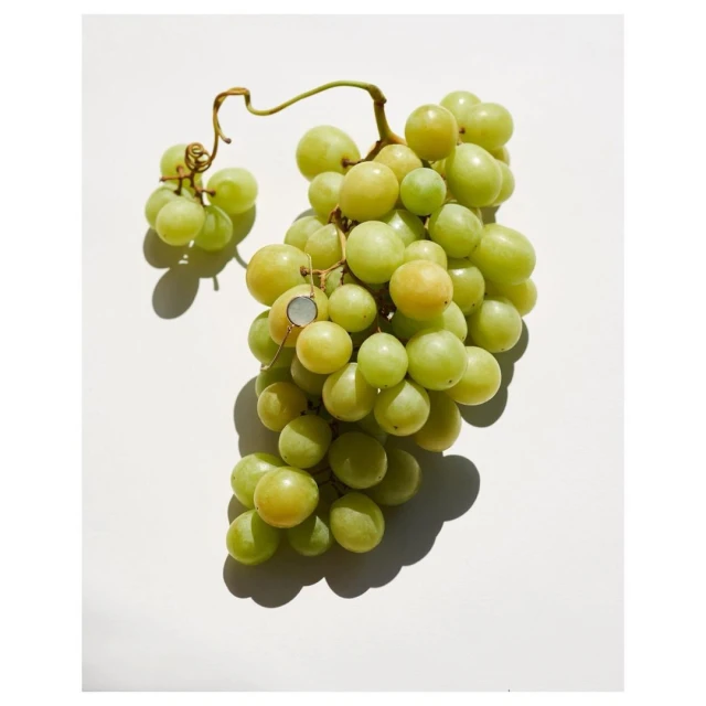 Close-up of fresh green grapes hanging with their stems attached, casting strong shadows on a white surface, creating a natural, healthy look.