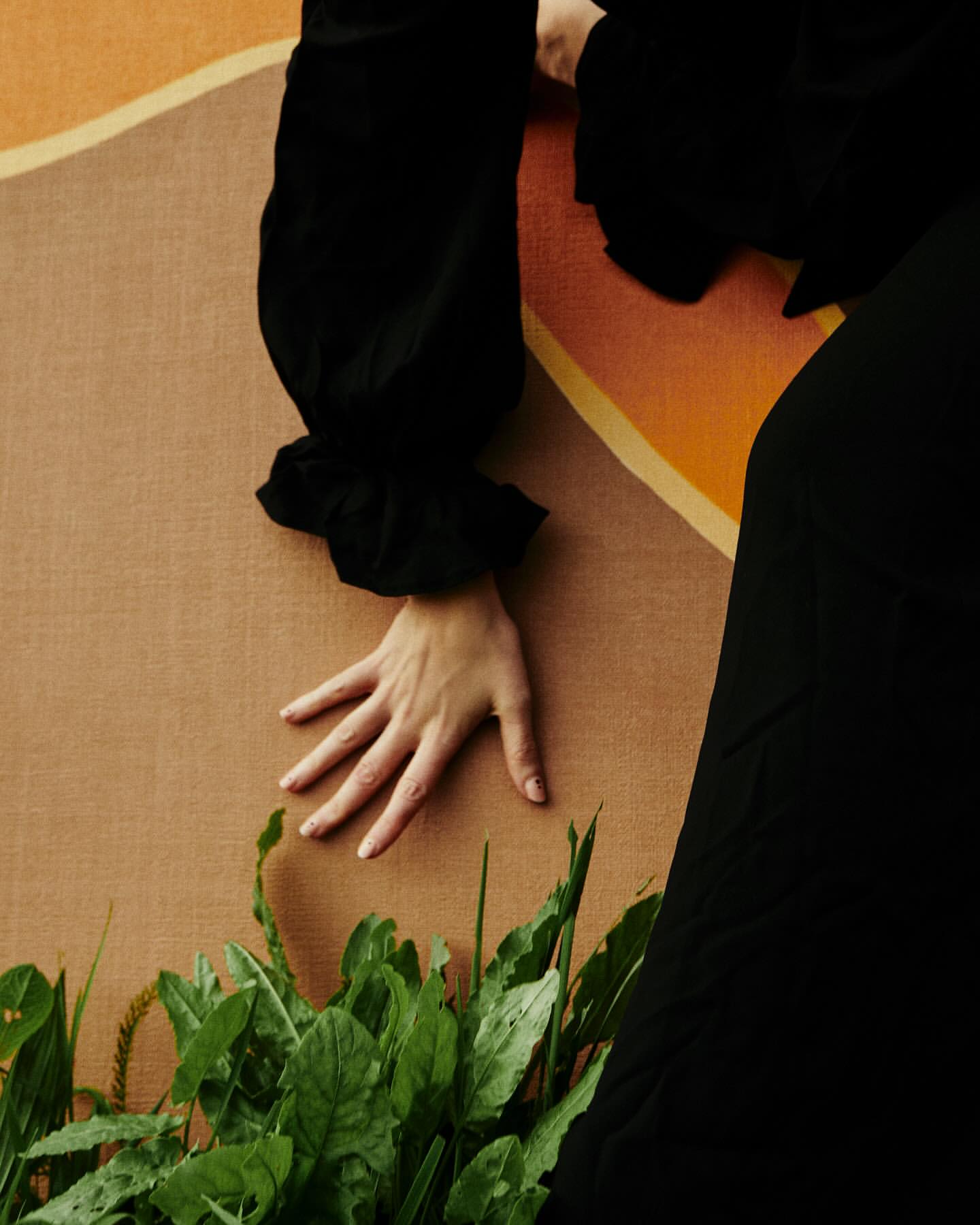 Close-up of a hand gently resting above green leaves and sprouts against a textured tan and orange backdrop with black clothing accents.