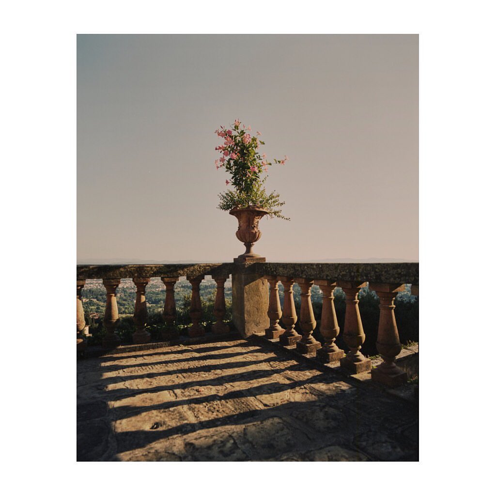 Ornate stone planter with pink flowers on a ledge overlooking a landscape and city, casting shadows on the stone.