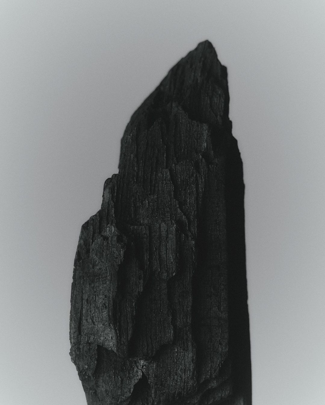 Close-up of a charred wood fragment with visible grain against a soft grey background, suitable for textures or abstract design.