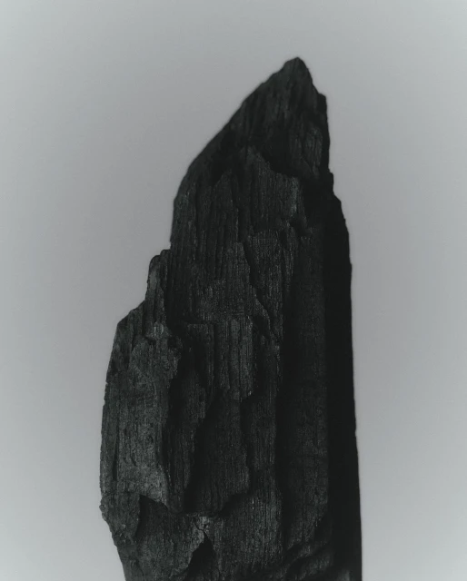 Close-up of a charred wood fragment with visible grain against a soft grey background, suitable for textures or abstract design.