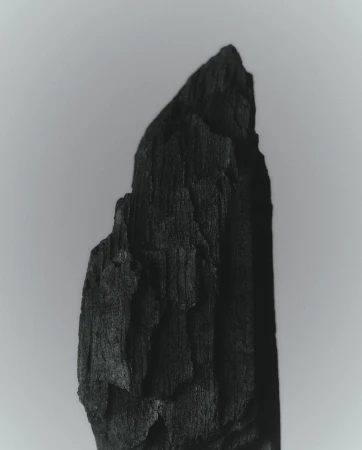 Close-up of a charred wood fragment with visible grain against a soft grey background, suitable for textures or abstract design.