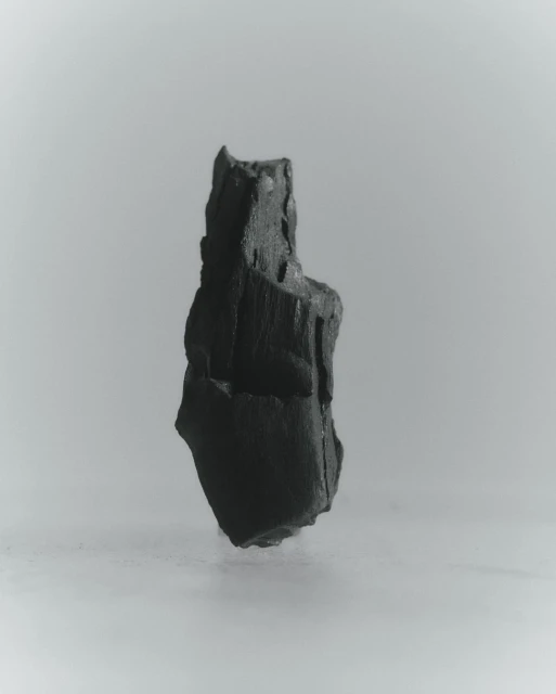 Monochromatic shot of a textured, irregularly-shaped charcoal piece against a gradient gray backdrop, highlighting its unique form.