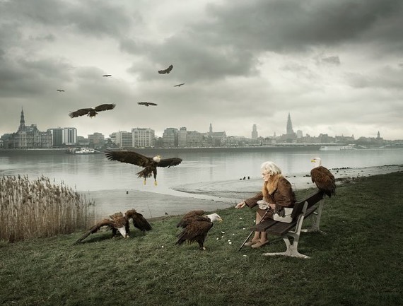 Elderly woman seated on park bench is surrounded by bald eagles on the bank of a river, with city buildings in the background.