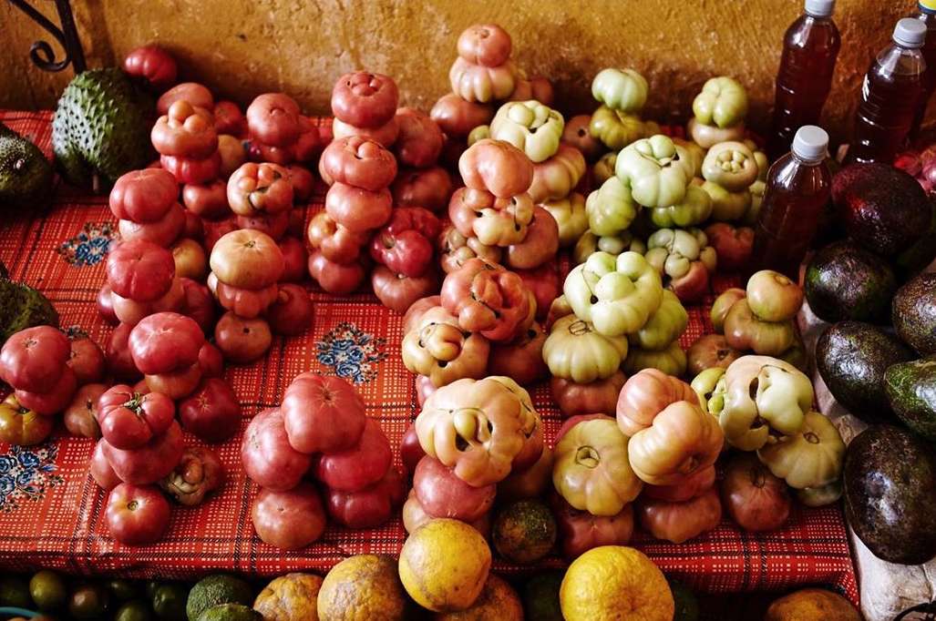 Piles of colorful fruits and vegetables including tomatoes, avocados, and citrus sit atop a red patterned tablecloth indoors.