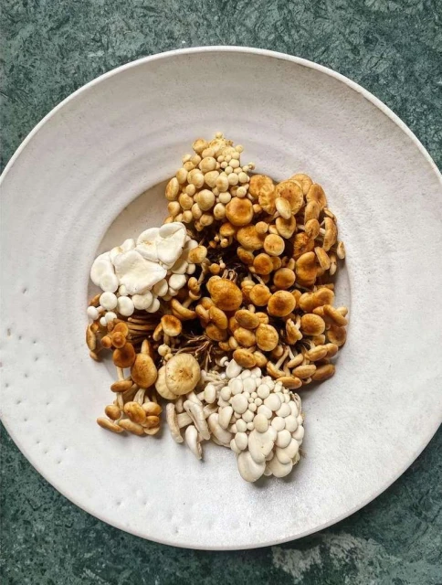 Various types of mushrooms clustered in a white bowl, showcasing different textures and colors against a green marble background.