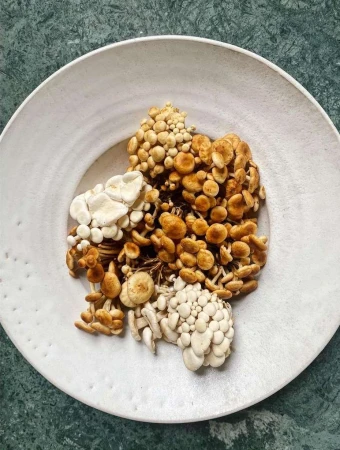 Various types of mushrooms clustered in a white bowl, showcasing different textures and colors against a green marble background.