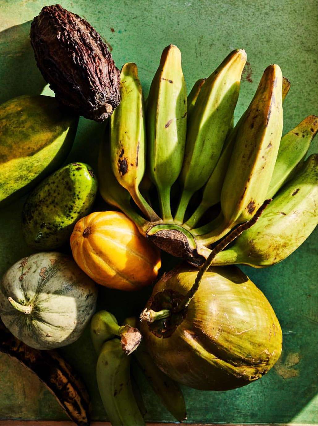 Overhead shot of a colorful assortment of tropical fruits including bananas, coconuts, papayas, and cocoa beans on a green surface.