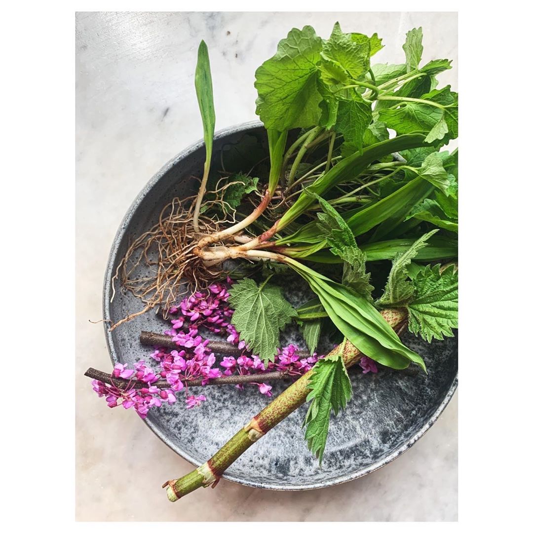 Foraged wild herbs and flowers in a grey ceramic bowl, including leafy greens, roots, stems, and purple flower blossoms.