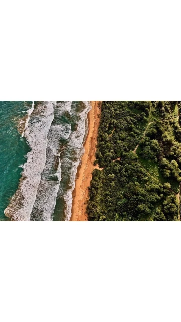 Aerial view of the shoreline with turquoise ocean water, foamy white waves, a sandy beach, and lush green vegetation.