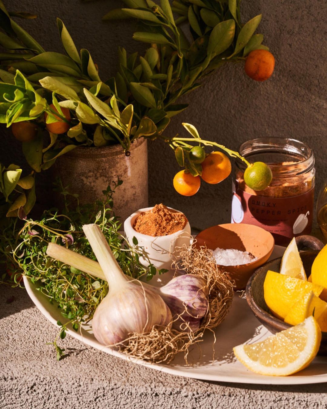 Still life food photography with citrus fruits, garlic, and herbs arranged on a white plate against a textured grey background.