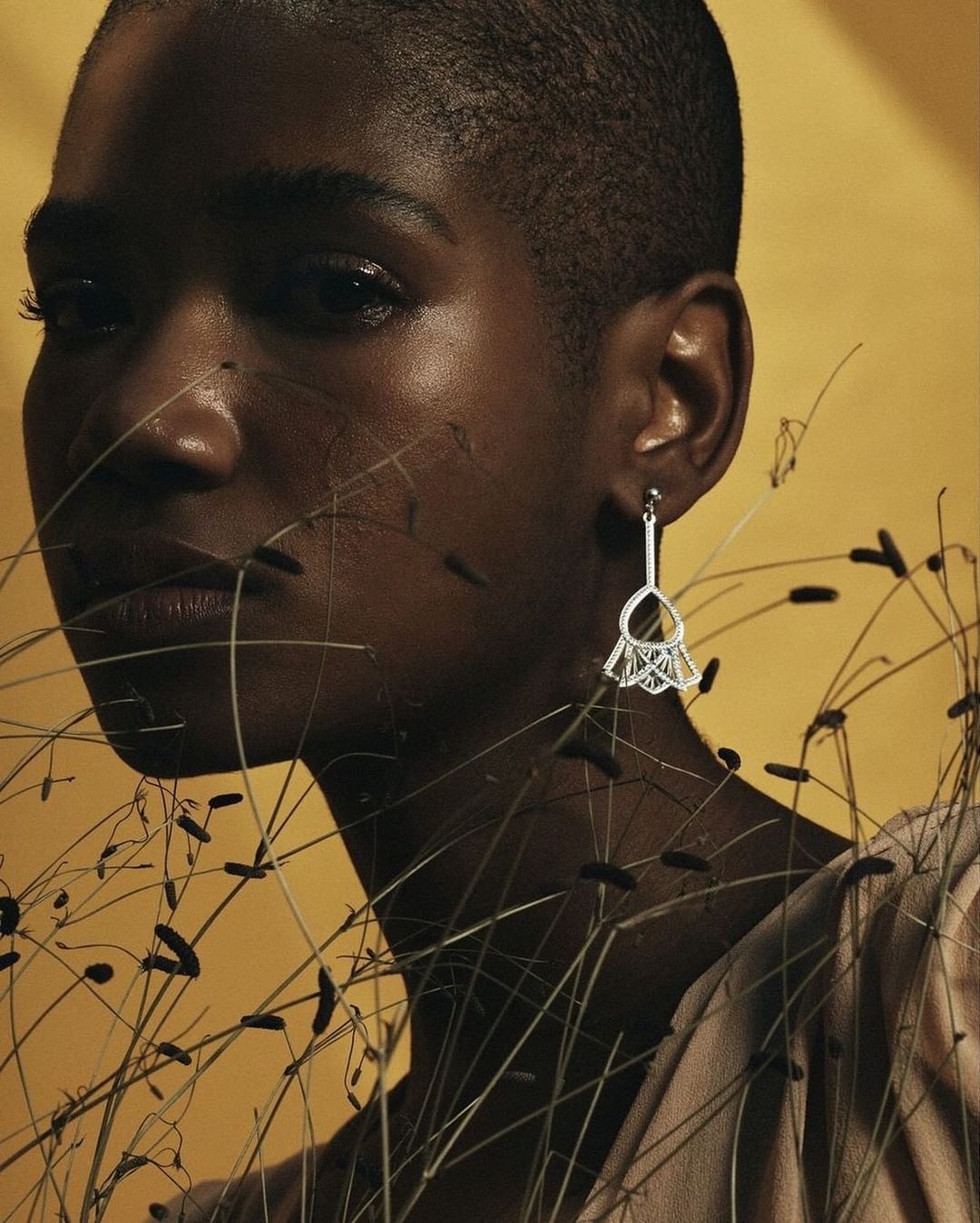Striking portrait of an African-American woman with short hair, adorned with statement earrings, amidst a backdrop of dry, golden grasses.