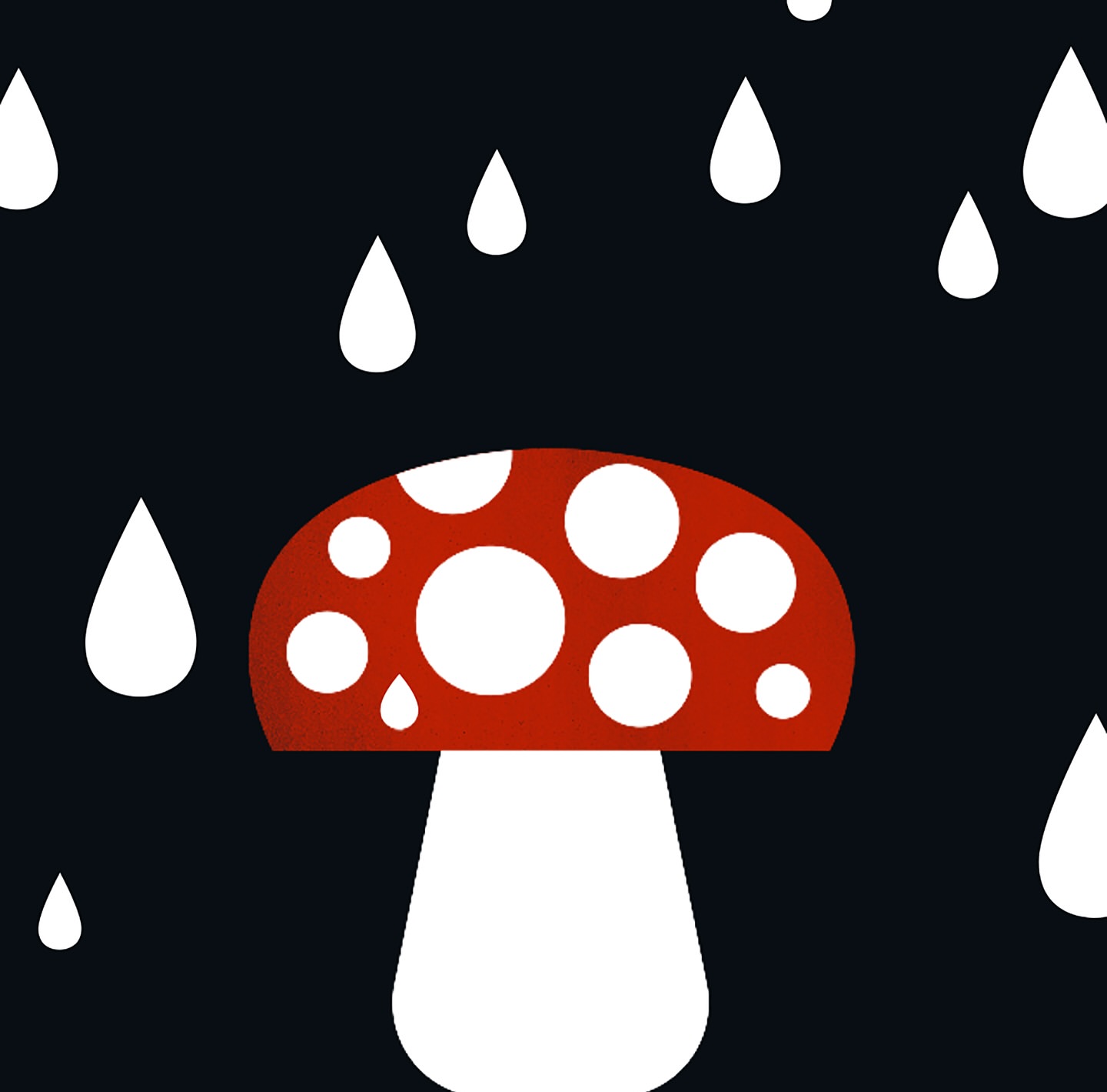 Illustration of a red and white mushroom with white raindrops against a dark blue background, creating a minimalist, stylized design.