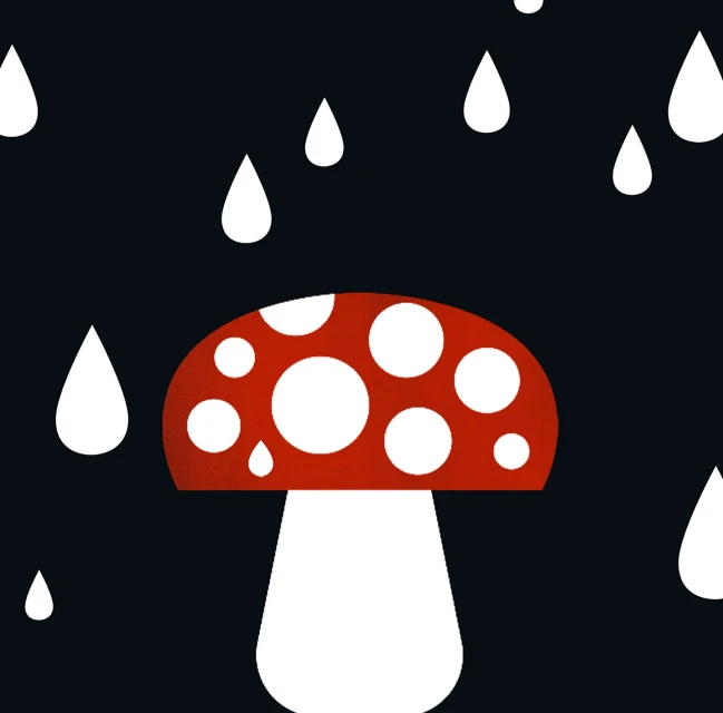 Illustration of a red and white mushroom with white raindrops against a dark blue background, creating a minimalist, stylized design.