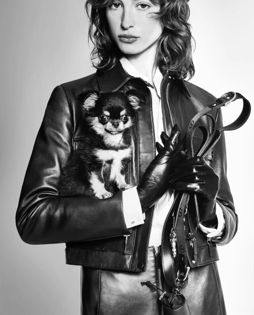 Adult female in leather jacket holds Chihuahua dog. She wears leather gloves and carries a dog leash in a studio shot.