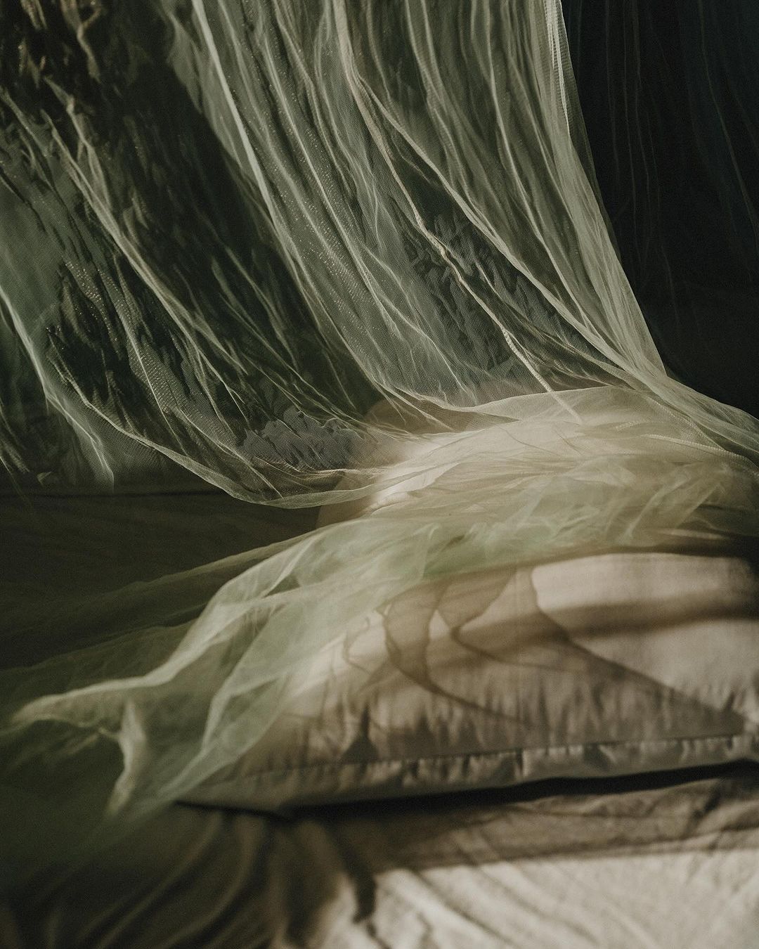 Interior shot of a bed with white linens and pillows, covered with a draped white mosquito net, illuminated by soft, natural lighting.