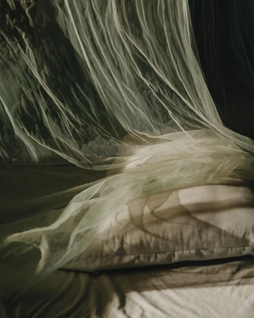 Interior shot of a bed with white linens and pillows, covered with a draped white mosquito net, illuminated by soft, natural lighting.