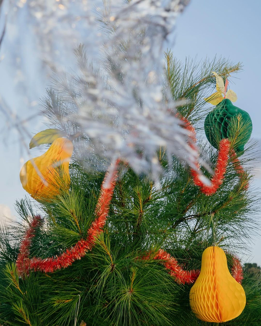 Christmas tree decorated with honeycomb ball ornaments and red garland. Festive holiday decorations on a green pine tree, soft blue background.