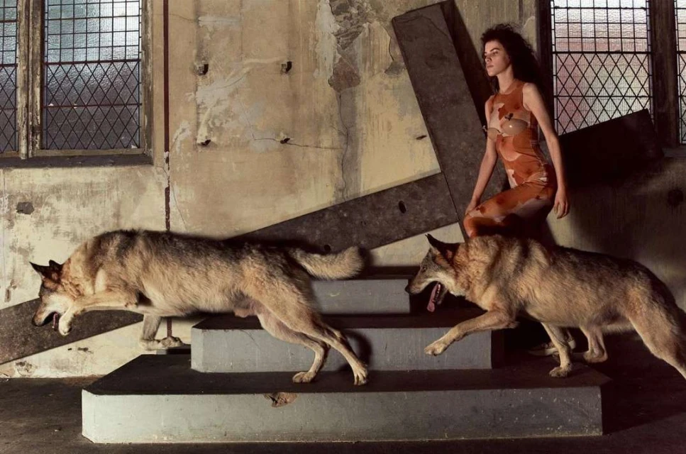 Woman in print dress descends steps with two tan canines in a decayed interior with window, creating a fashion or editorial image.