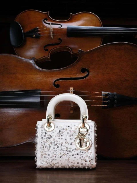 Studio shot of a white beaded purse against a backdrop featuring a cello and violin. The lighting highlights the purse's texture.