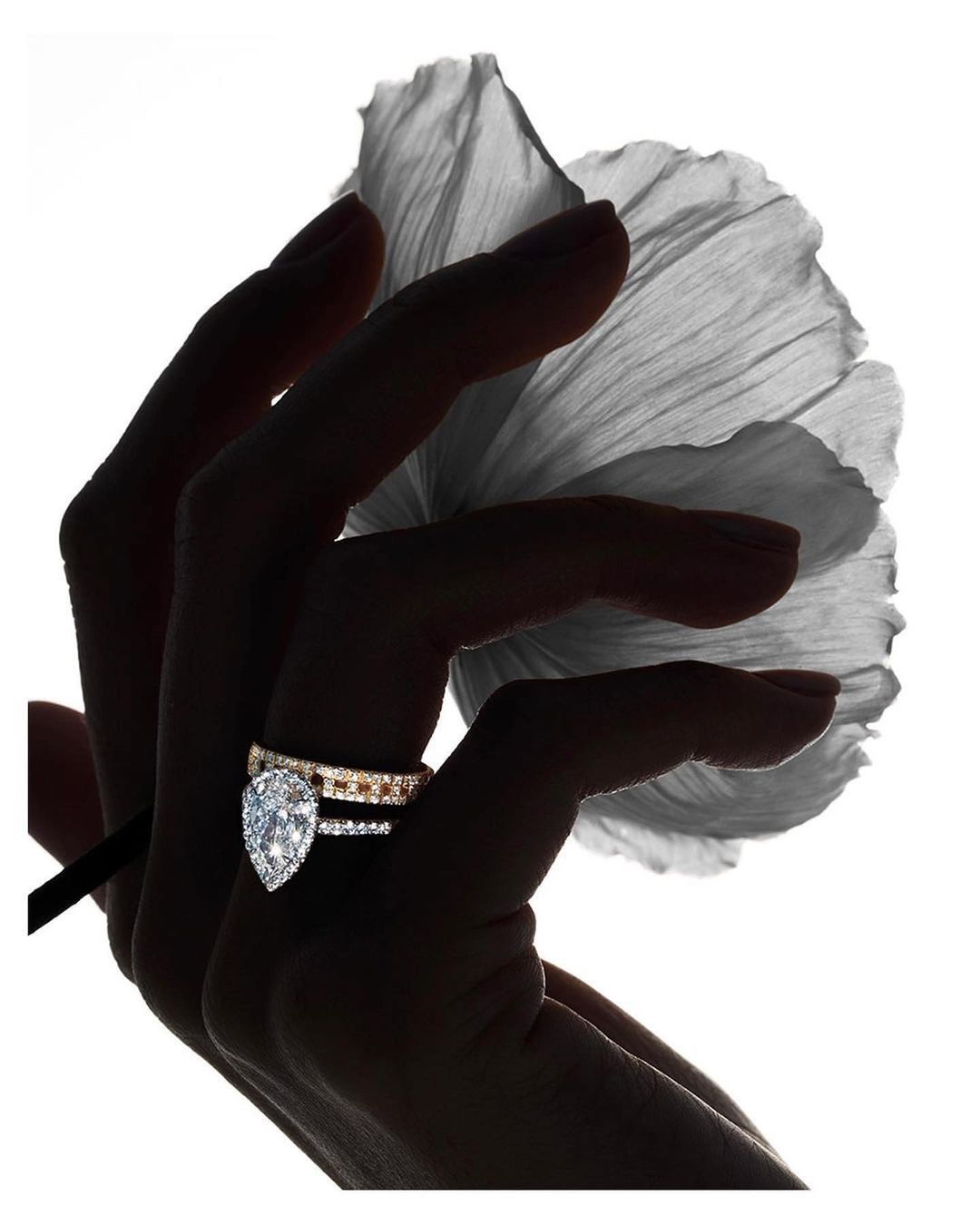 Silhouette of a hand holding a white flower, with focus on a pear-shaped diamond ring set in gold with white diamonds.