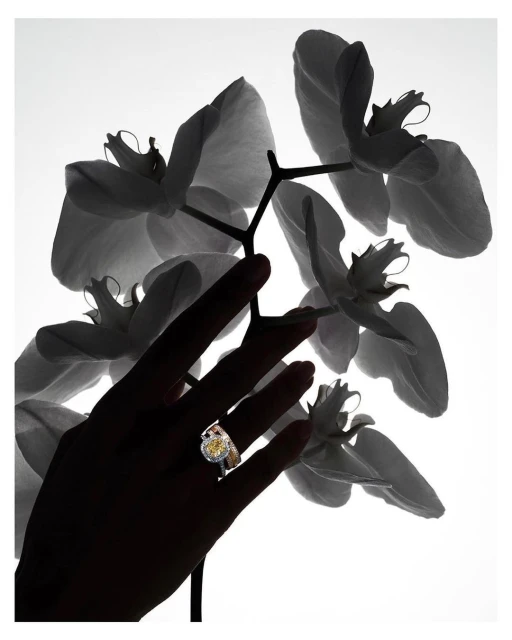 Close-up of a hand wearing a ring against a background of out-of-focus white orchids, backlit for a silhouette effect.